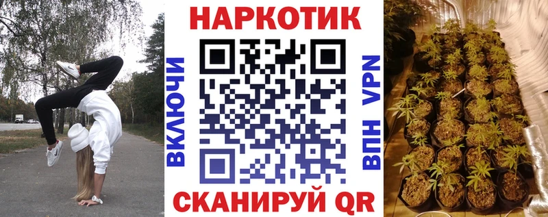 Где купить Дегтярск БУТИРАТ Кокаин A-PVP Меф Каннабис