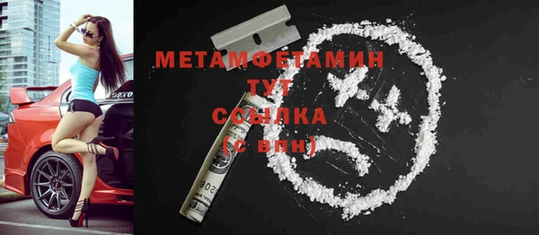 прущие грибы Богданович