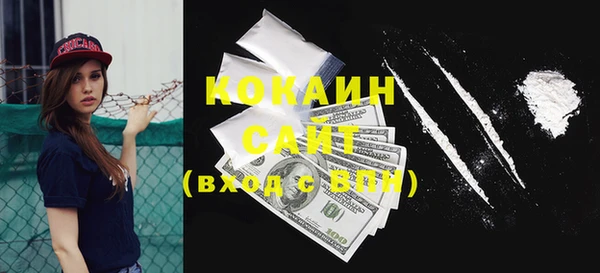 прущие грибы Богданович