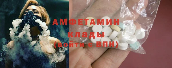 прущие грибы Богданович