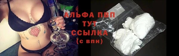 прущие грибы Богданович