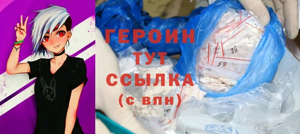 прущие грибы Богданович