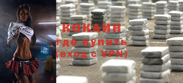 прущие грибы Богданович