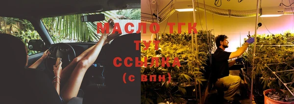 прущие грибы Богданович