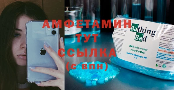 прущие грибы Богданович